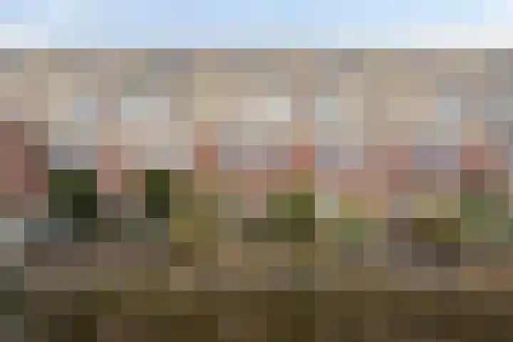 Klipperdijk 60 Lisse thumbnail 39