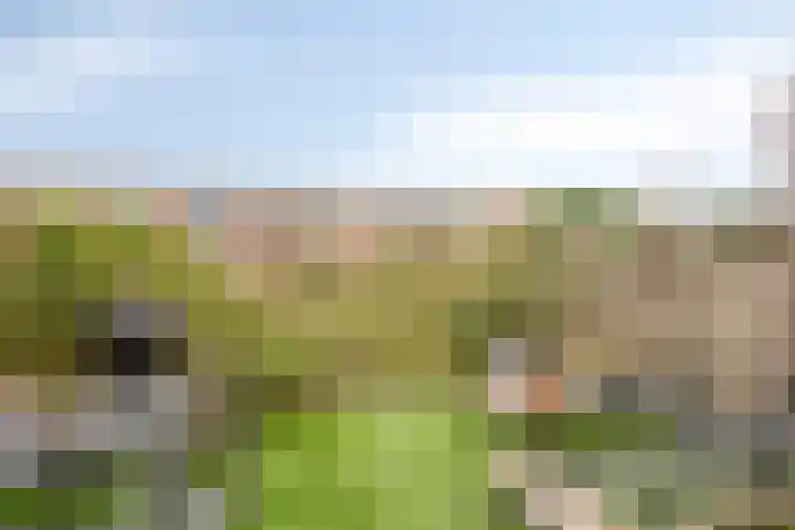 Klipperdijk 60 Lisse thumbnail 4