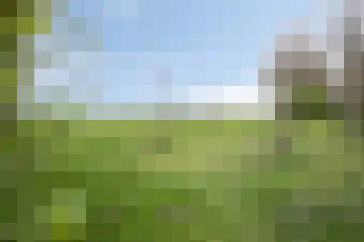 Klipperdijk 60 Lisse thumbnail 41