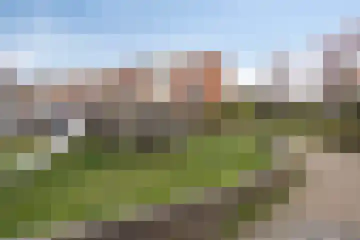 Klipperdijk 60 Lisse thumbnail 42