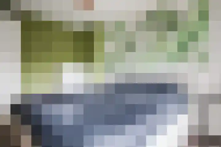 Klipperdijk 70 Lisse thumbnail 20
