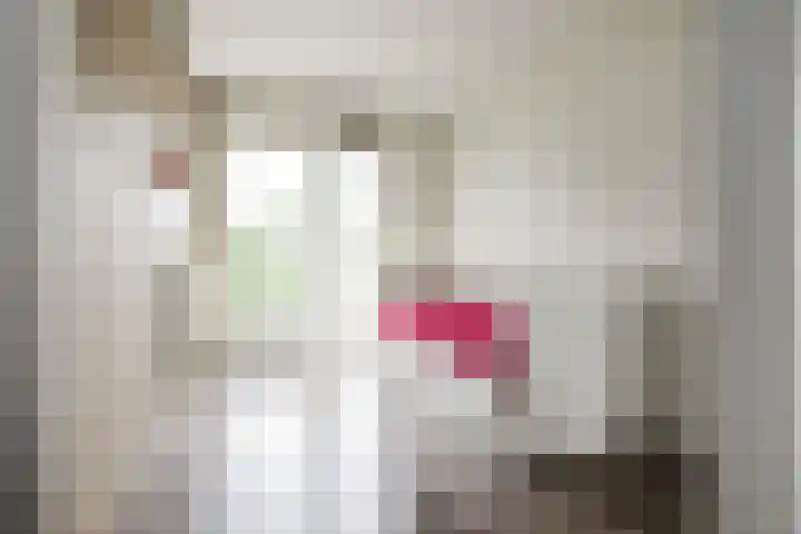 Klipperdijk 70 Lisse thumbnail 22