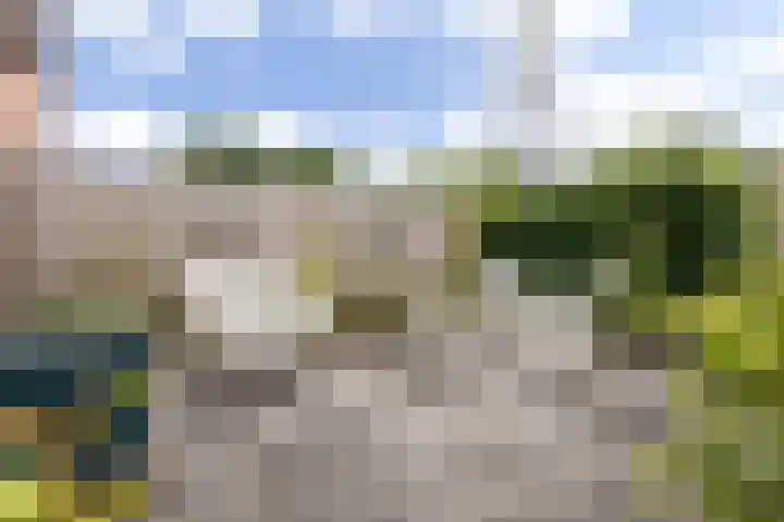 Klipperdijk 70 Lisse thumbnail 29