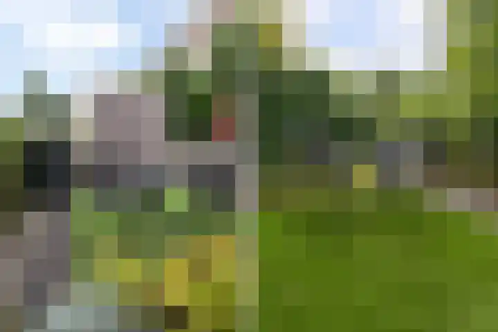 Klipperdijk 70 Lisse thumbnail 32