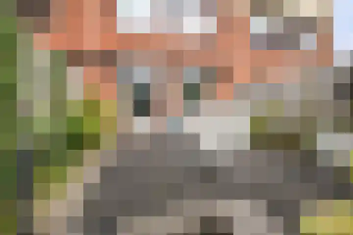 Klipperdijk 70 Lisse thumbnail 5