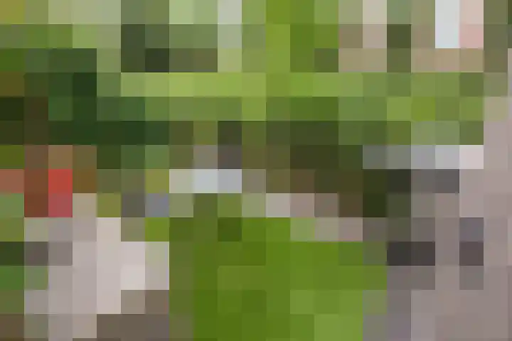 Klipperdijk 70 Lisse thumbnail 6
