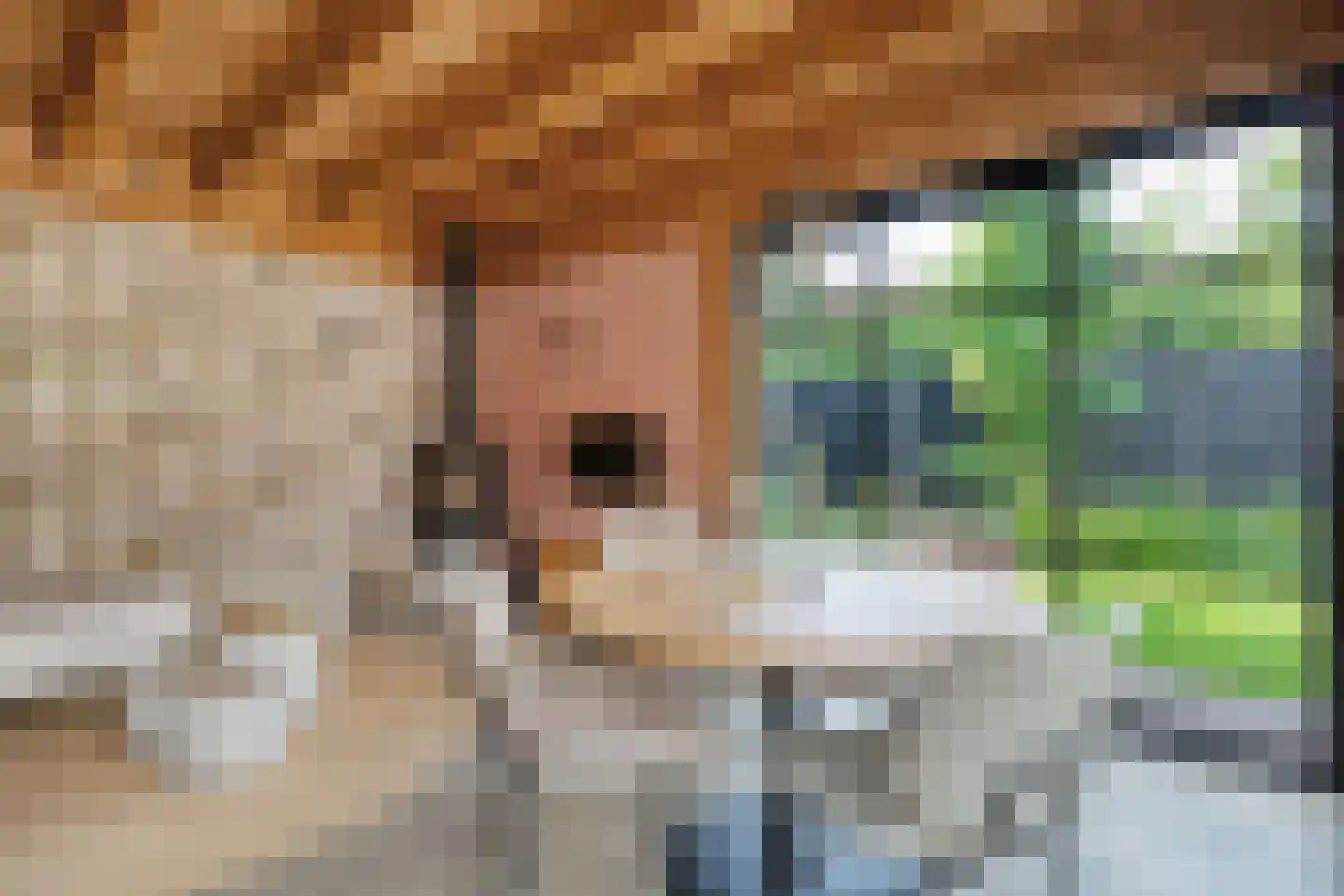 Klipperstraat 1 Lemelerveld thumbnail 54