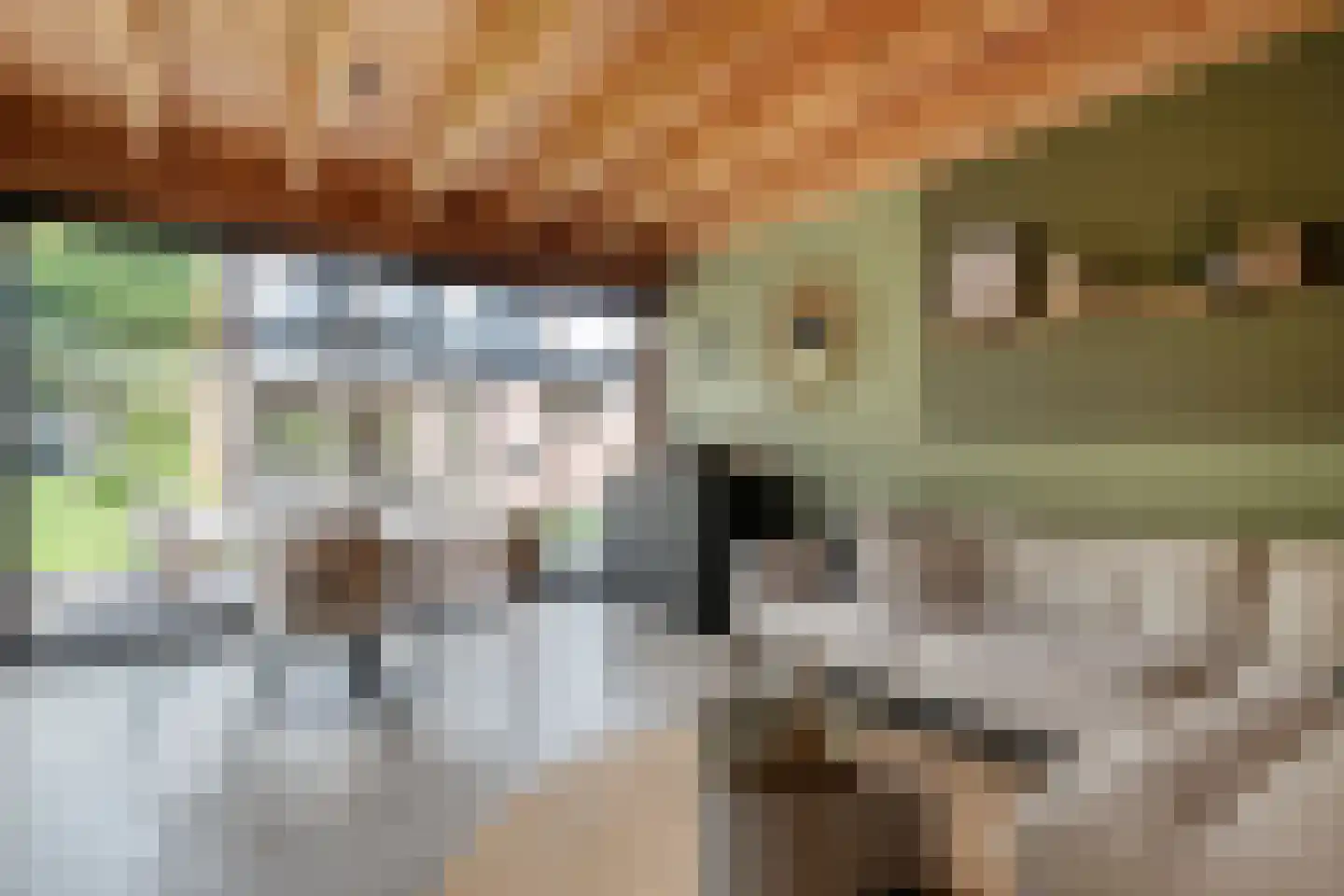 Klipperstraat 1 Lemelerveld thumbnail 55