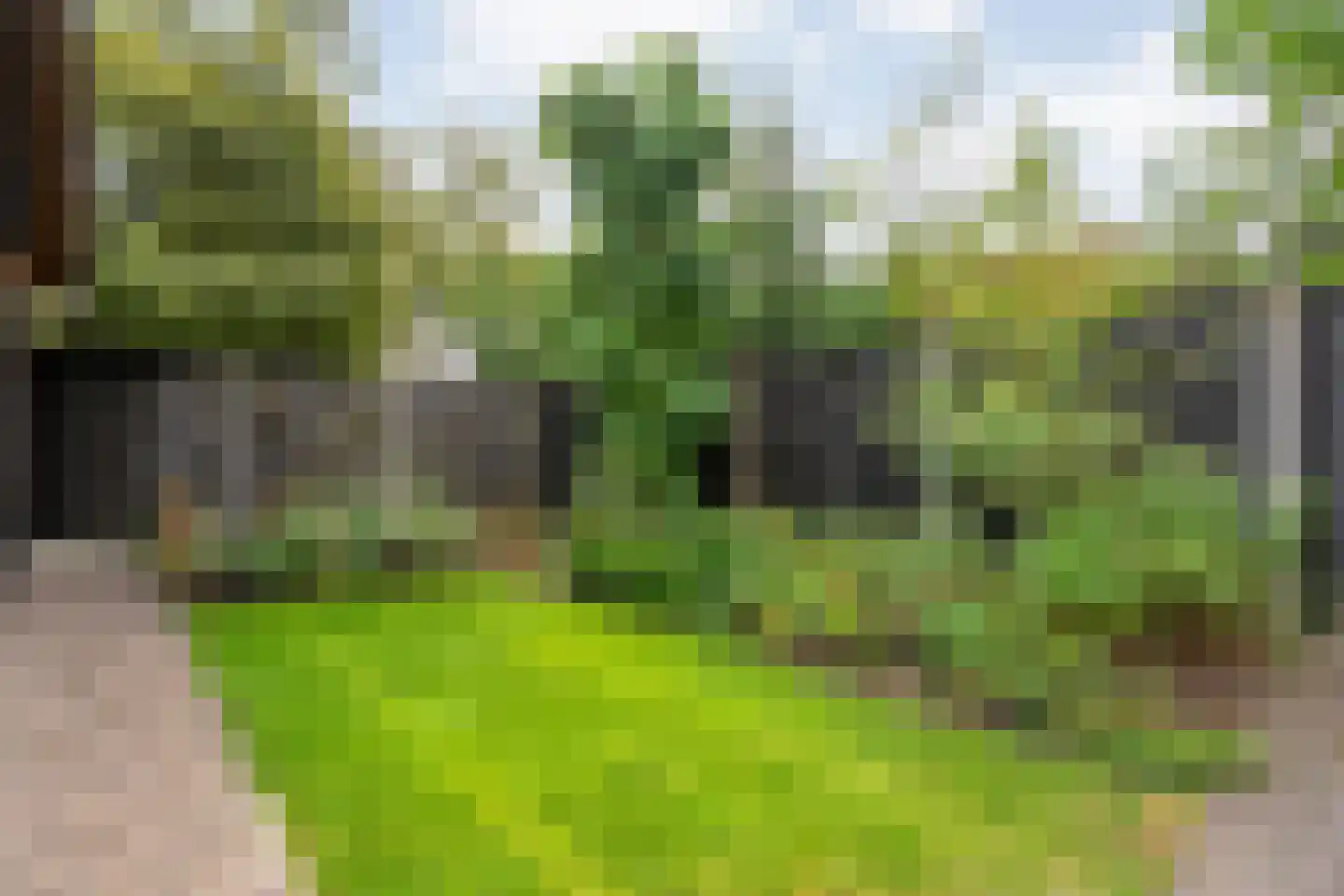 Klipperstraat 1 Lemelerveld thumbnail 61