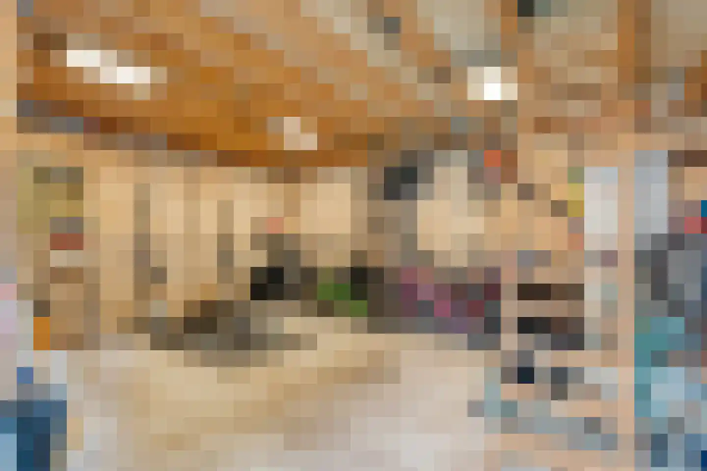 Klipperstraat 1 Lemelerveld thumbnail 66