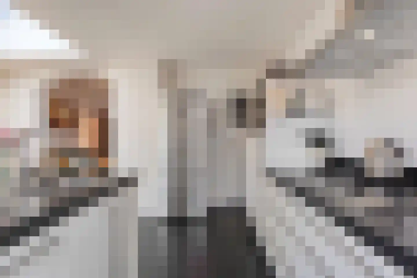 Klipperstraat 12 Eindhoven thumbnail 18