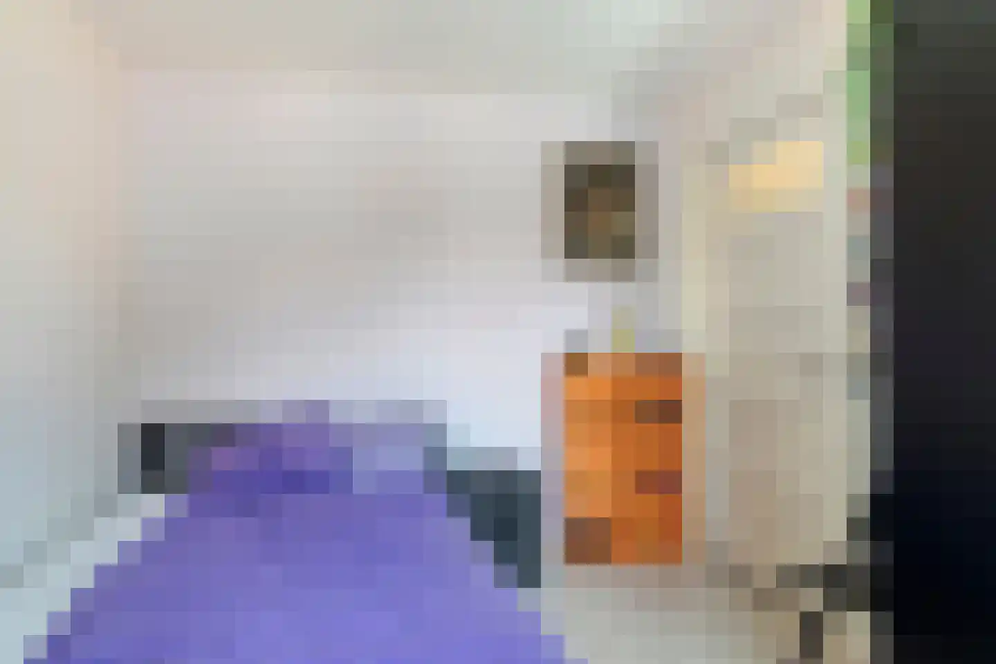 Klipperstraat 12 Eindhoven thumbnail 28
