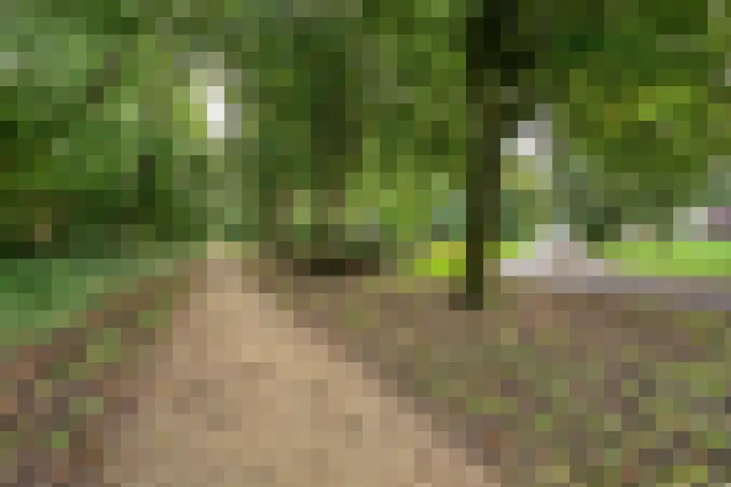 Klipperstraat 16 Dronten thumbnail 31