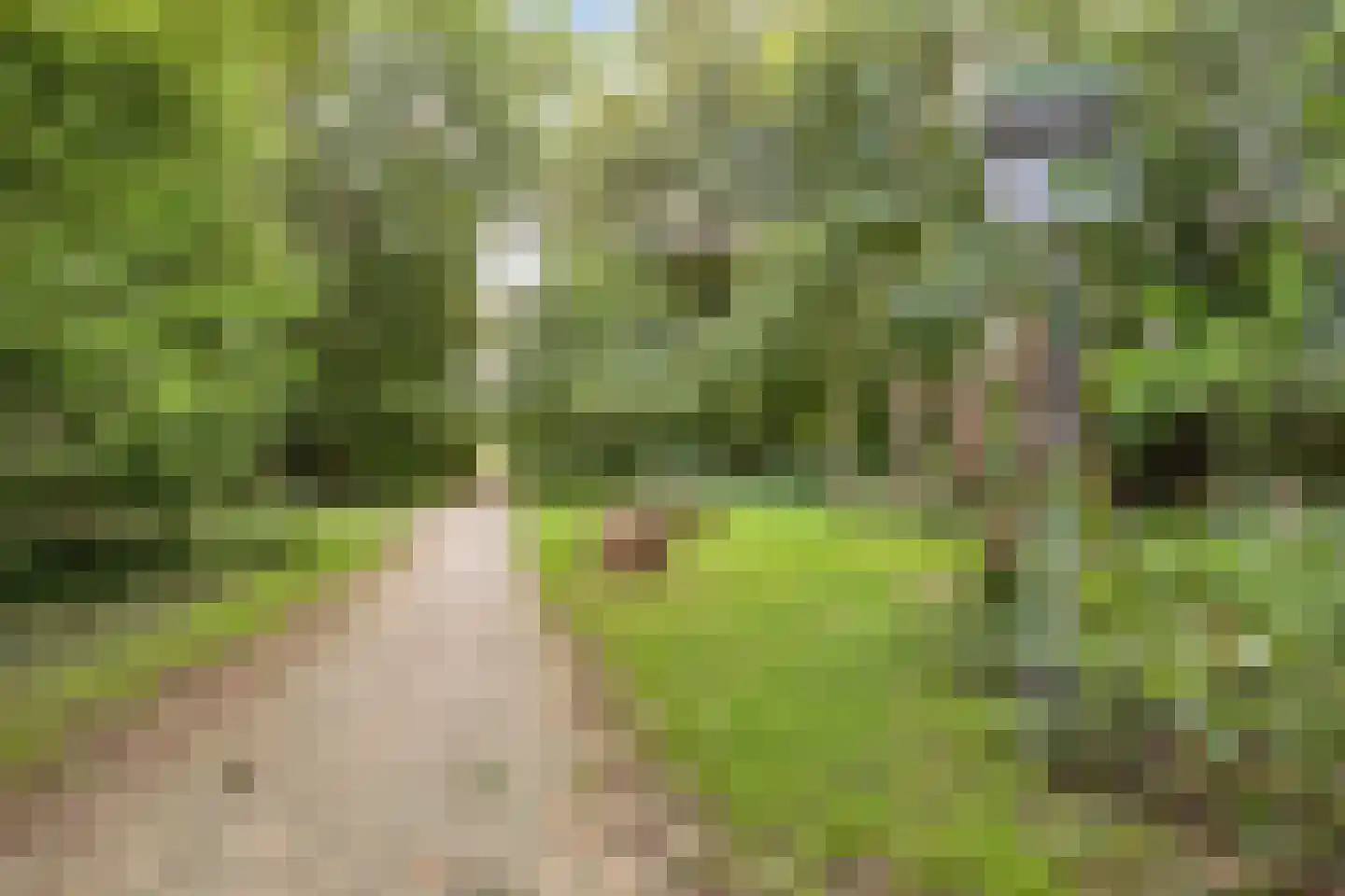 Klipperstraat 16 Dronten thumbnail 34