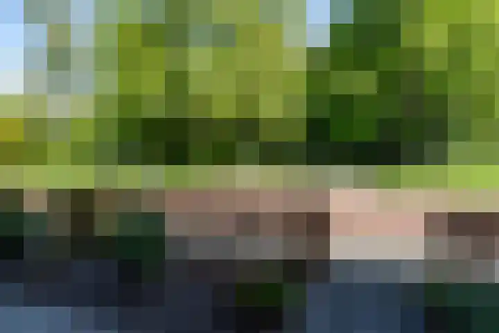 Klipperstraat 16 Veendam thumbnail 35
