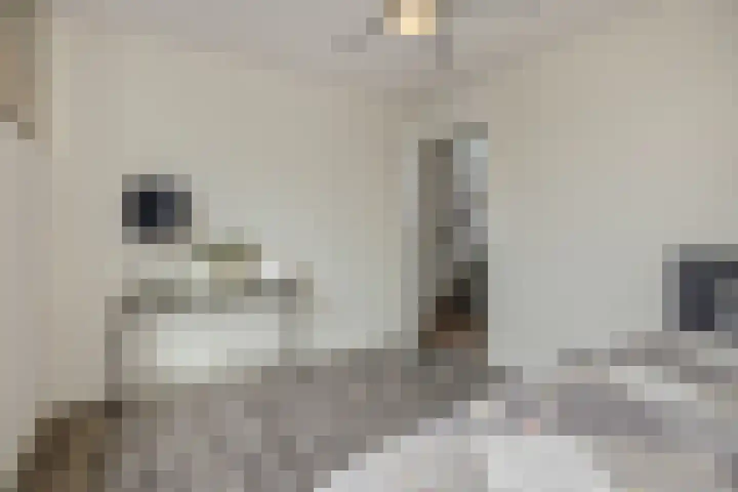Klipperstraat 18 's-Hertogenbosch thumbnail 18