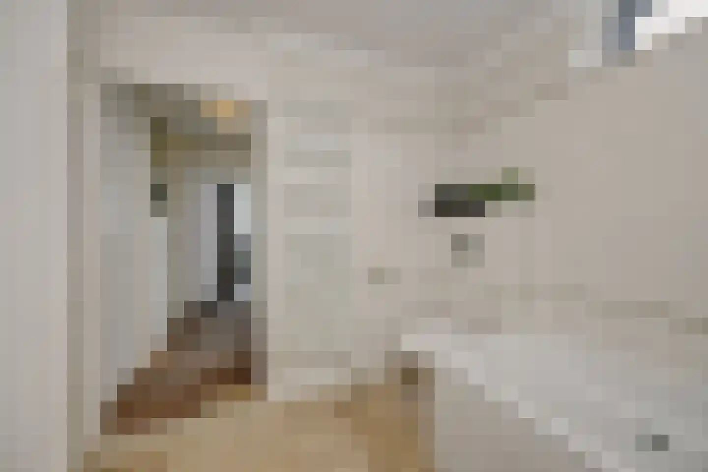 Klipperstraat 18 's-Hertogenbosch thumbnail 21