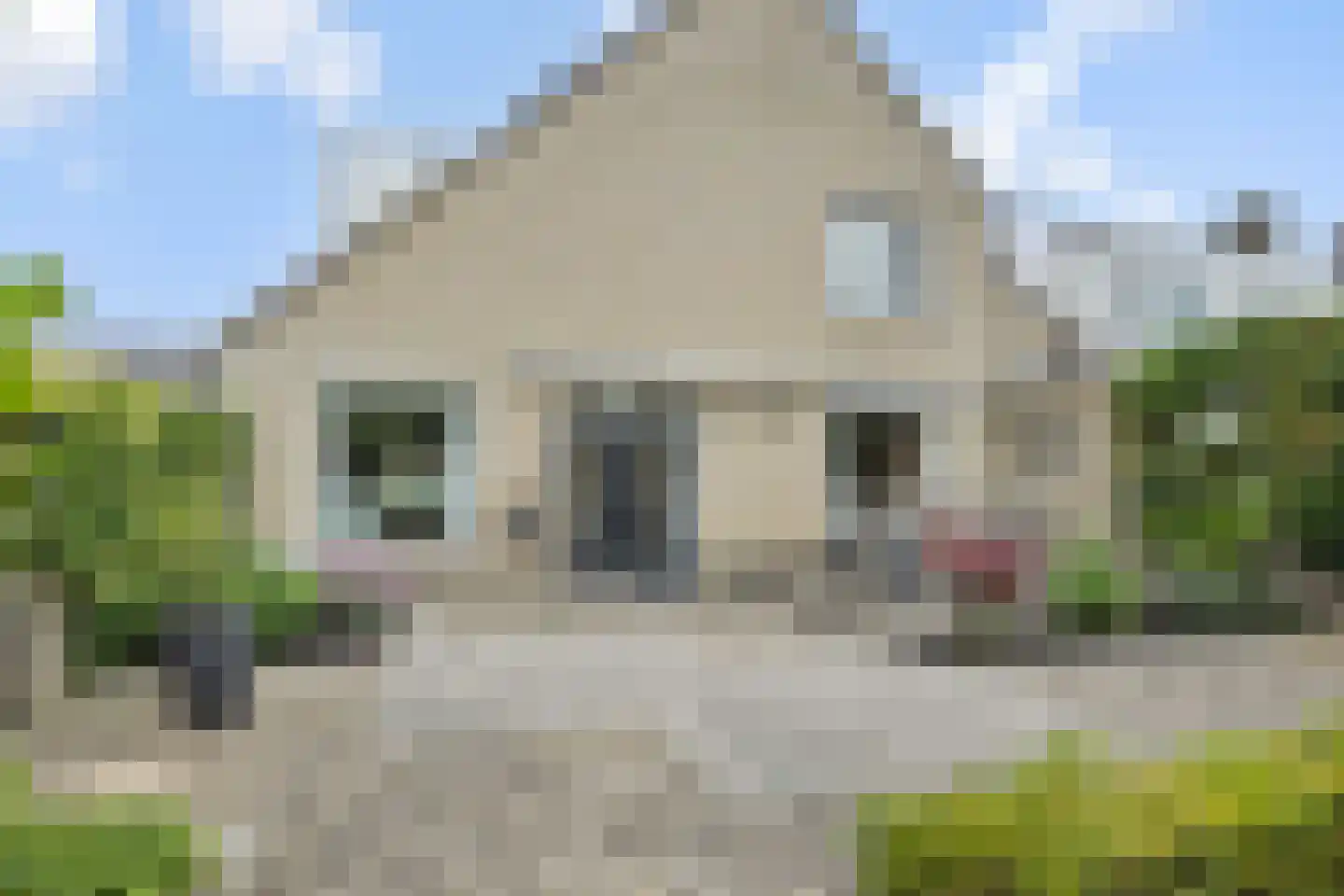 Klipperstraat 18 's-Hertogenbosch thumbnail 31