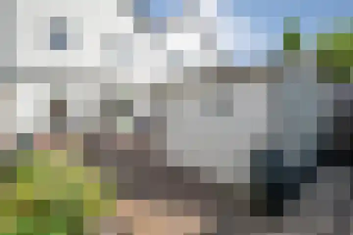 Klipperstraat 48 Lemelerveld thumbnail 35