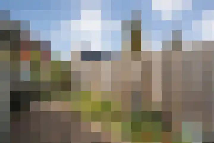 Klipperstraat 48 Lemelerveld thumbnail 38