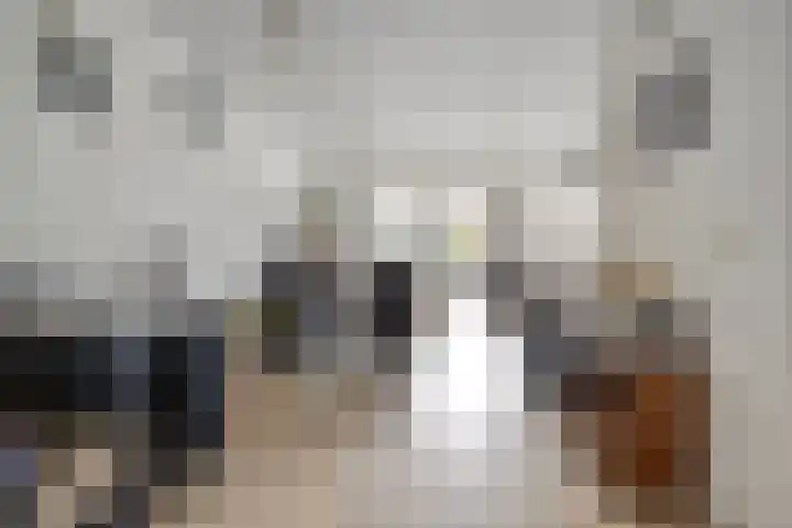 Klipperstraat 48 Lemelerveld thumbnail 8