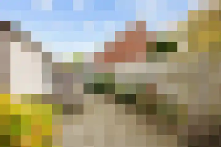Klipperstraat 55 Harlingen thumbnail 33