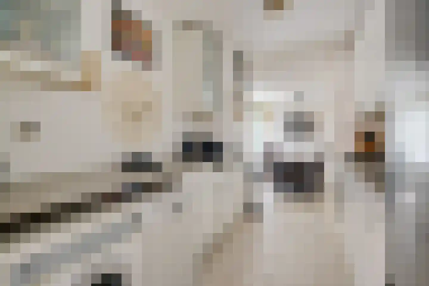 Klipperstraat 56 Alkmaar thumbnail 18