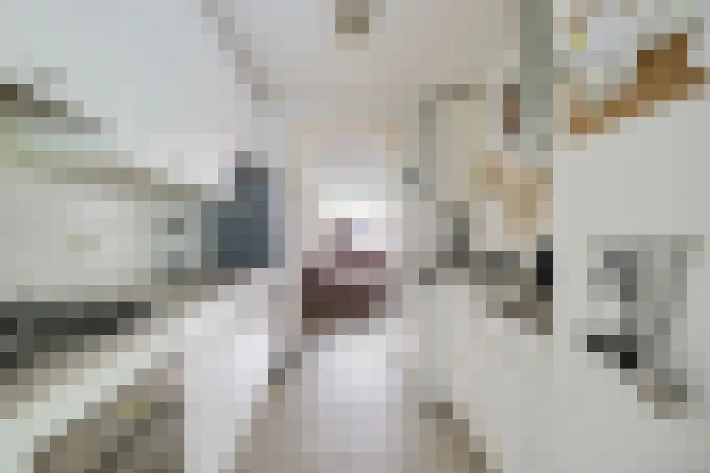 Klipperstraat 56 Alkmaar thumbnail 19