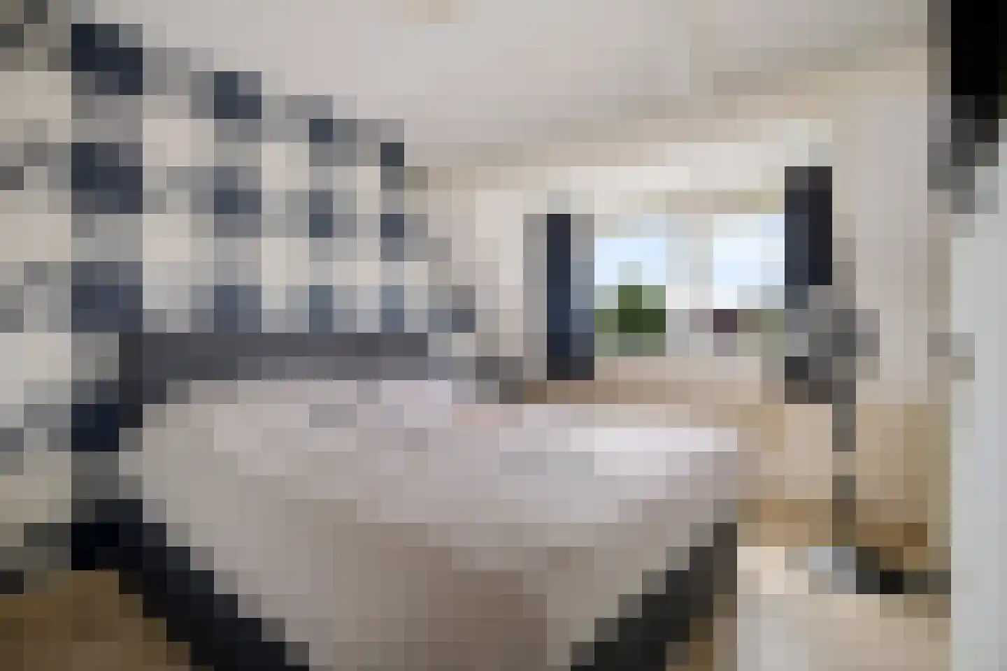 Klipperstraat 56 Alkmaar thumbnail 23