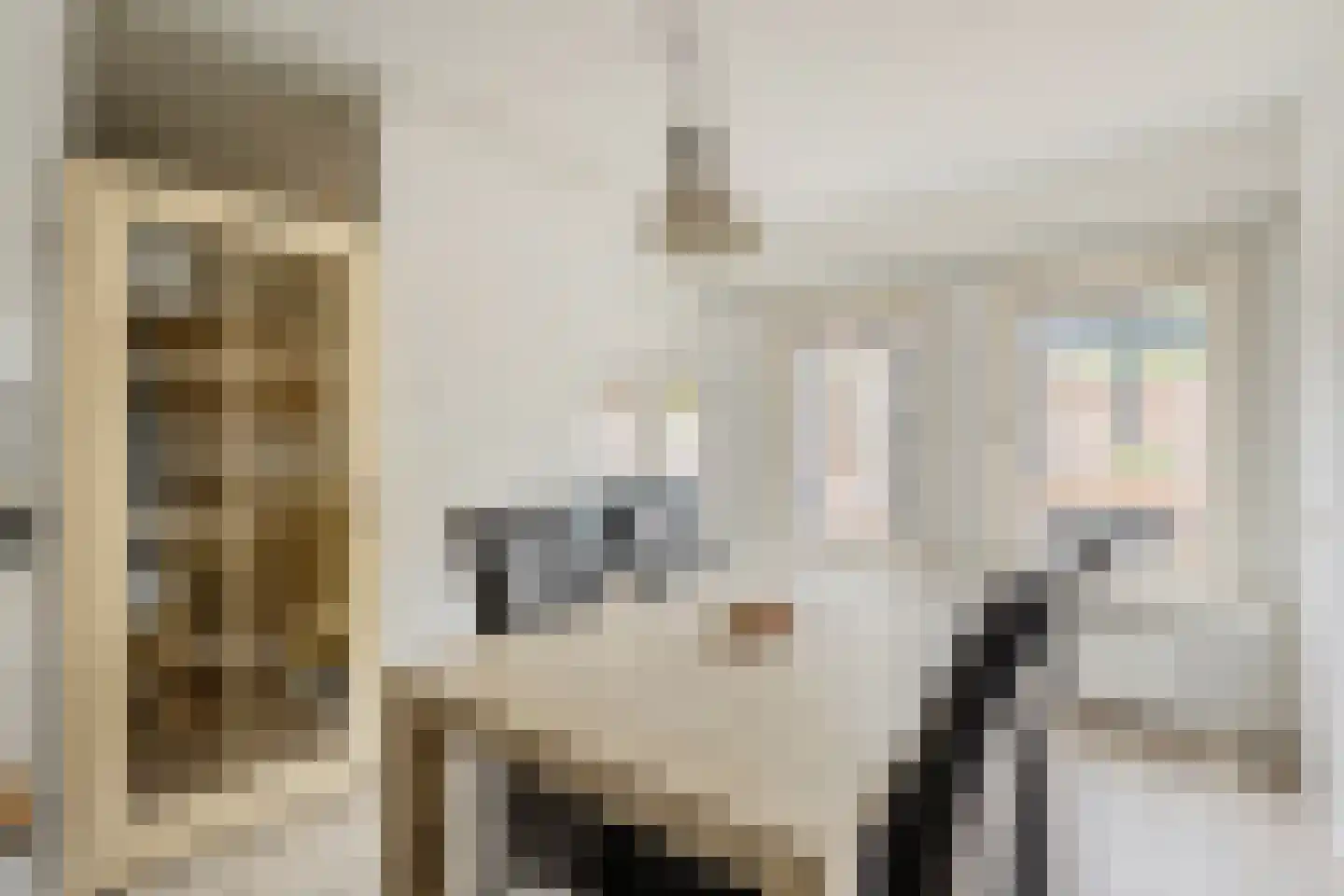 Klipperstraat 77 Alkmaar thumbnail 10
