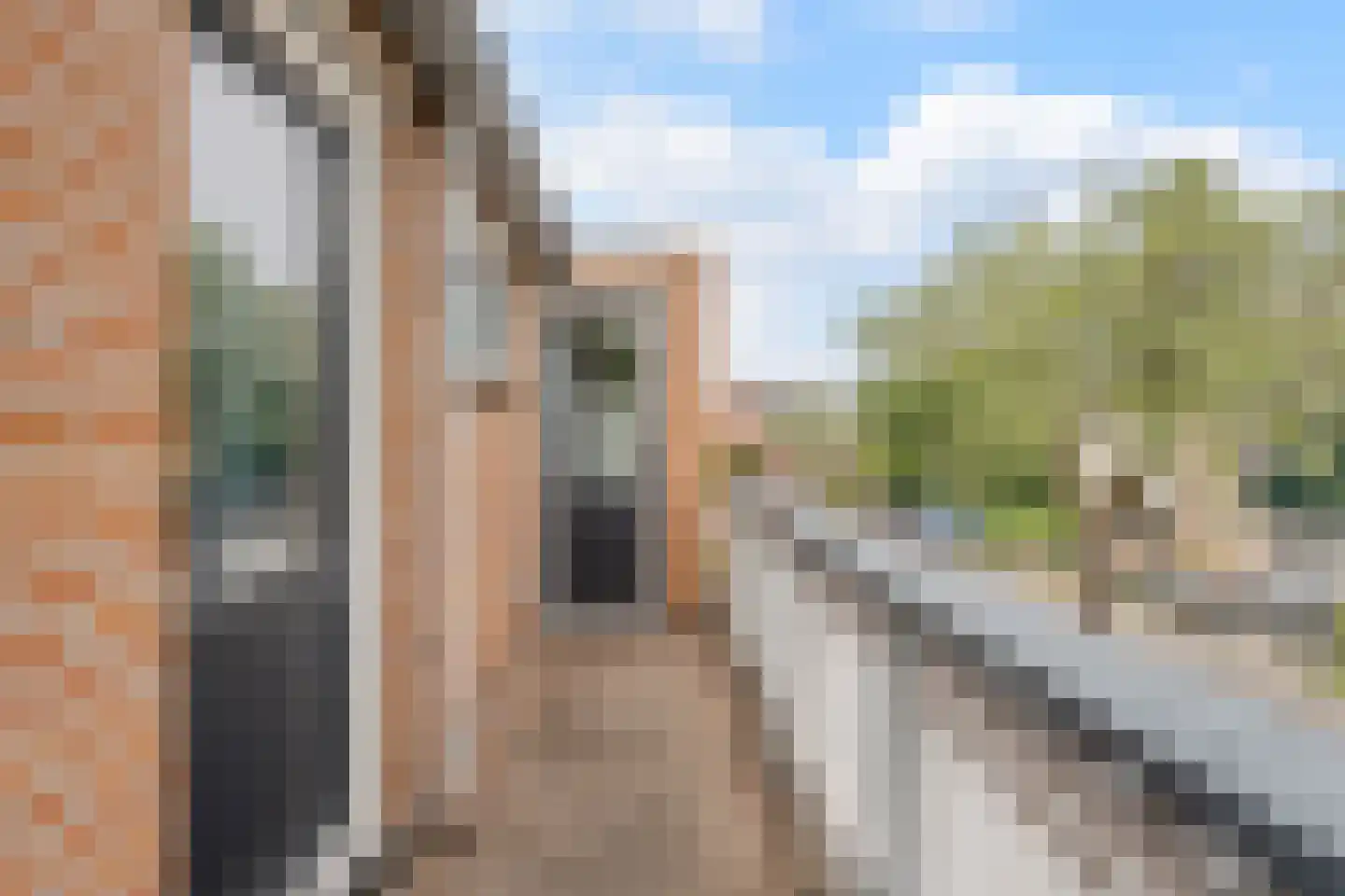 Klipperstraat 77 Alkmaar thumbnail 25