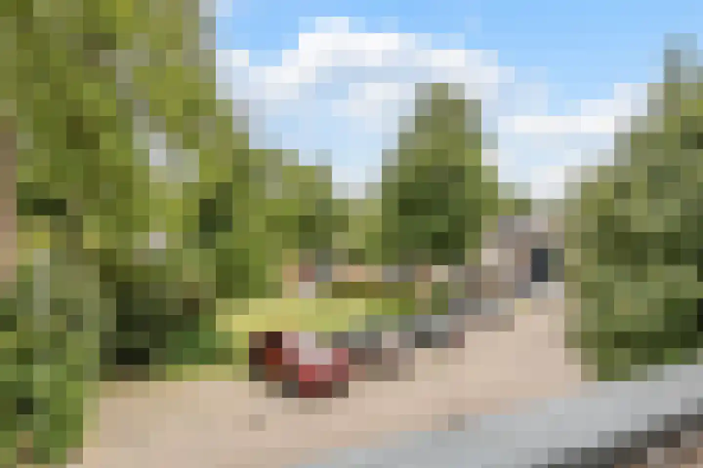 Klipperstraat 77 Alkmaar thumbnail 26