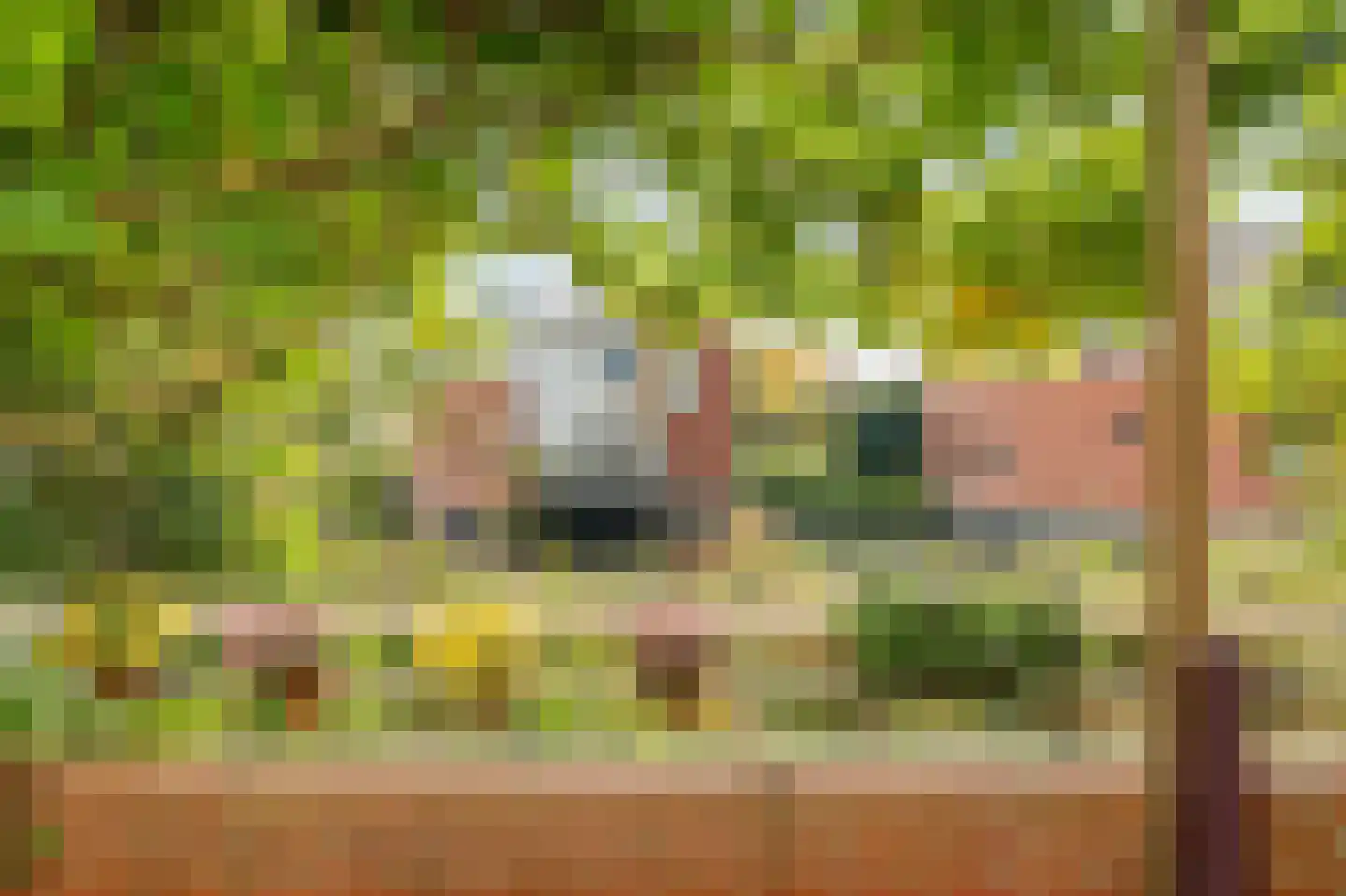 Klipperweg 34 Diemen thumbnail 13