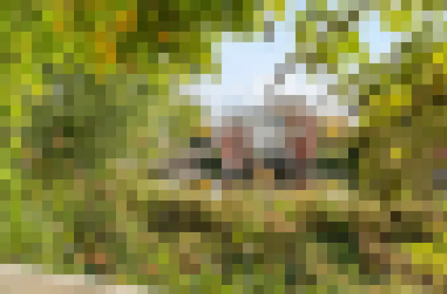 Klipperweg 34 Diemen thumbnail 15