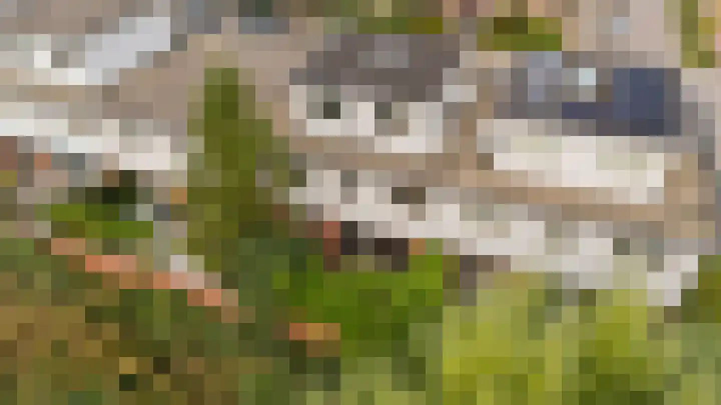 Klipperweg 34 Diemen thumbnail 64