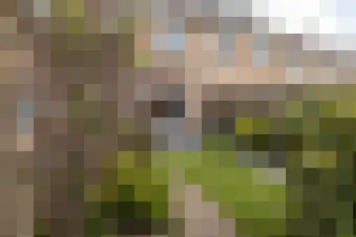 Klipperwerf 22 Gouda thumbnail 28