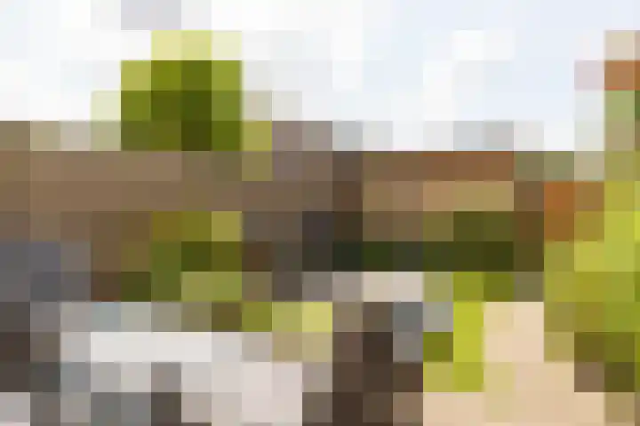 Klipperwerf 22 Gouda thumbnail 5