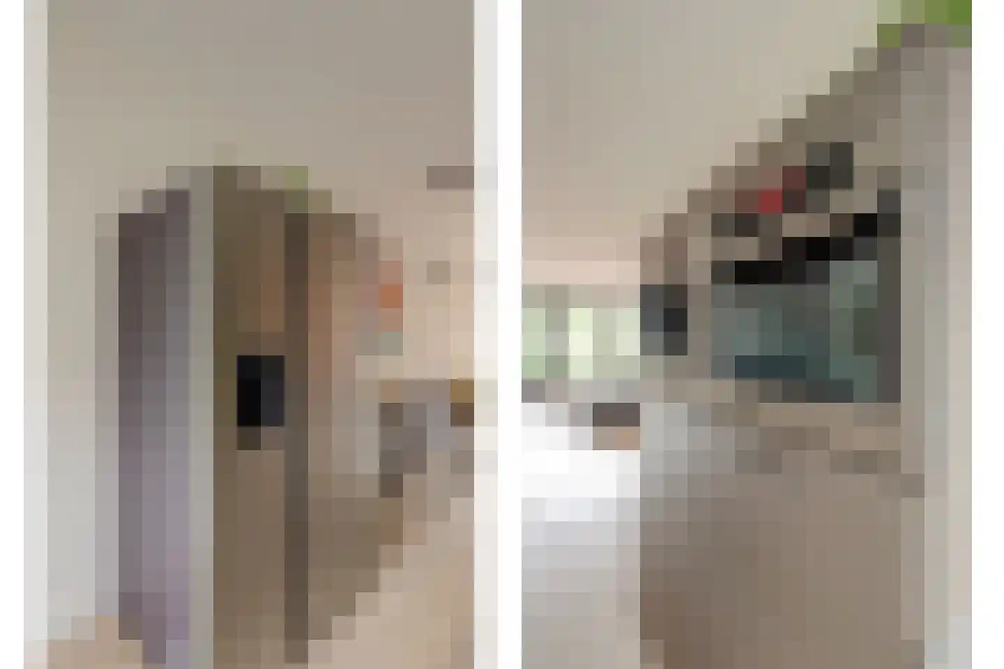 Klipperwerf 47 Gouda thumbnail 20
