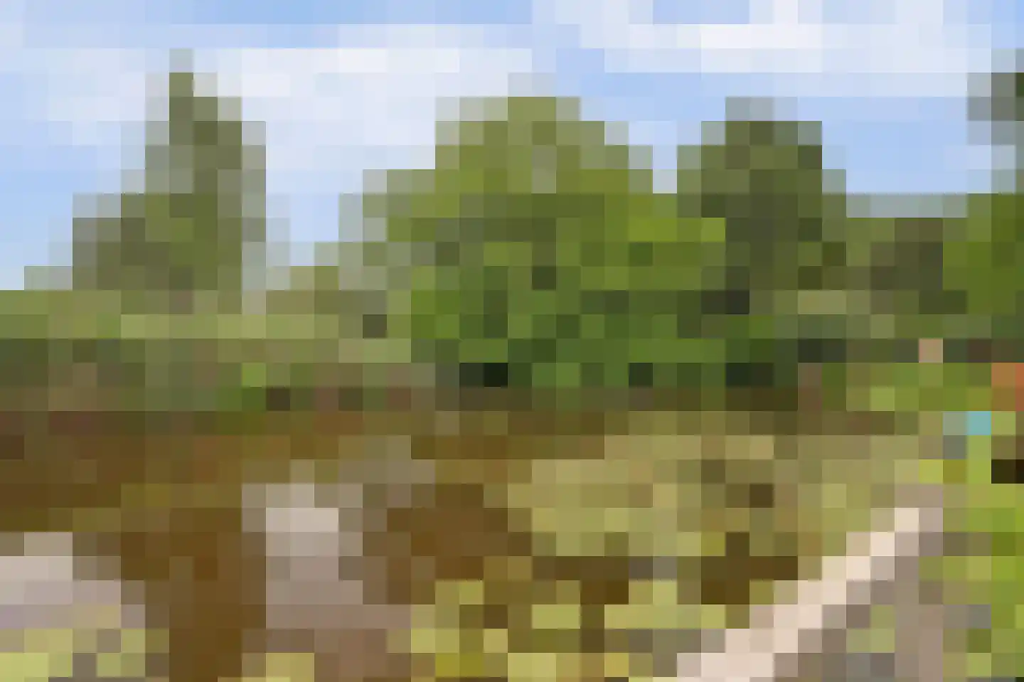Klipperwerf 47 Gouda thumbnail 39