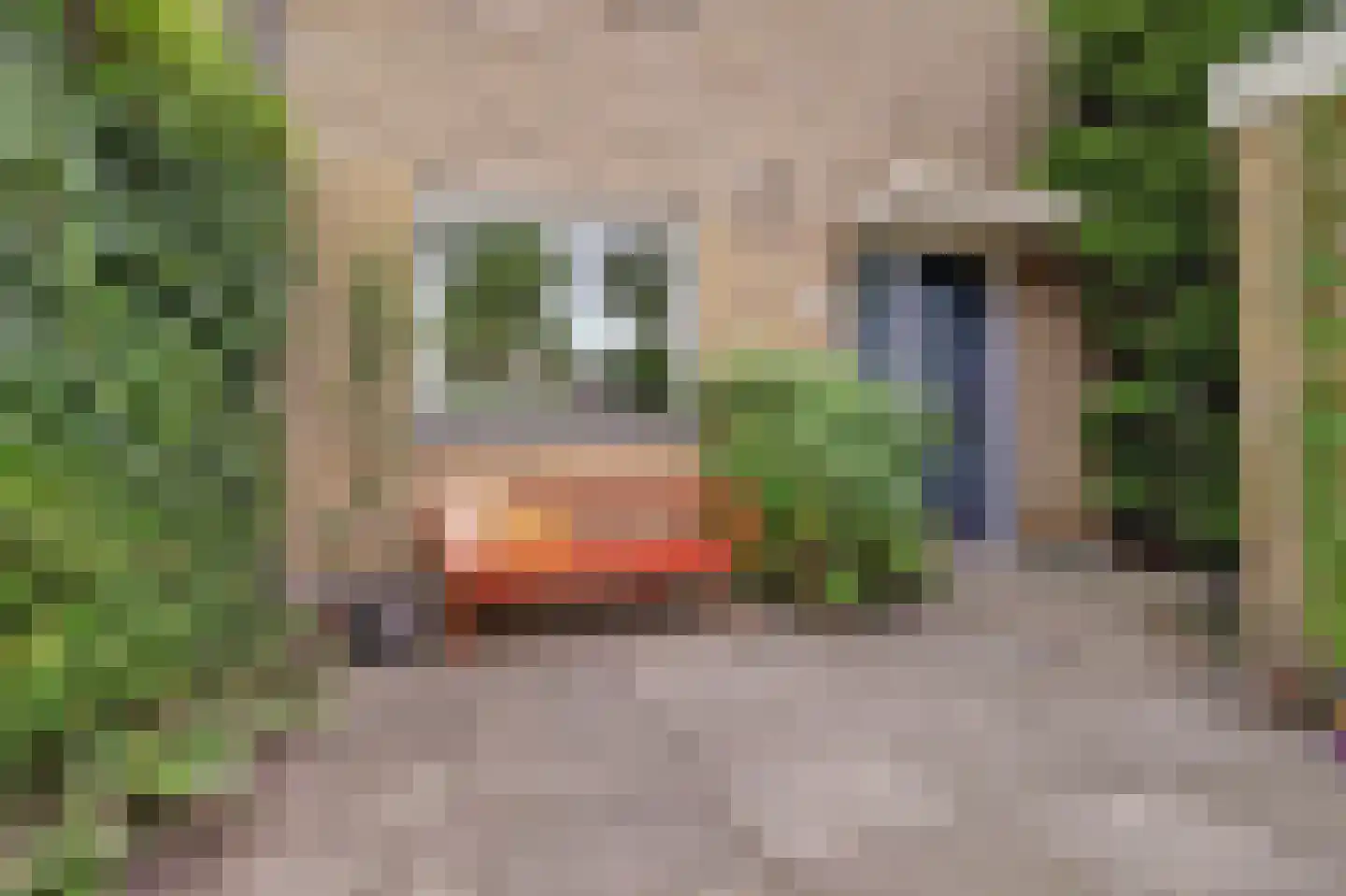 Klipperwerf 47 Gouda thumbnail 7