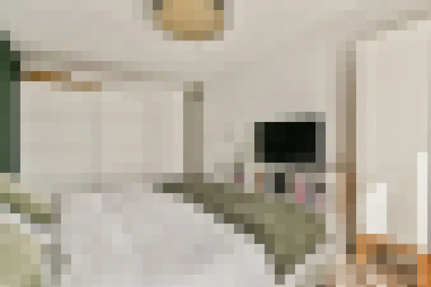 Klipperwerf 53 Gouda thumbnail 17