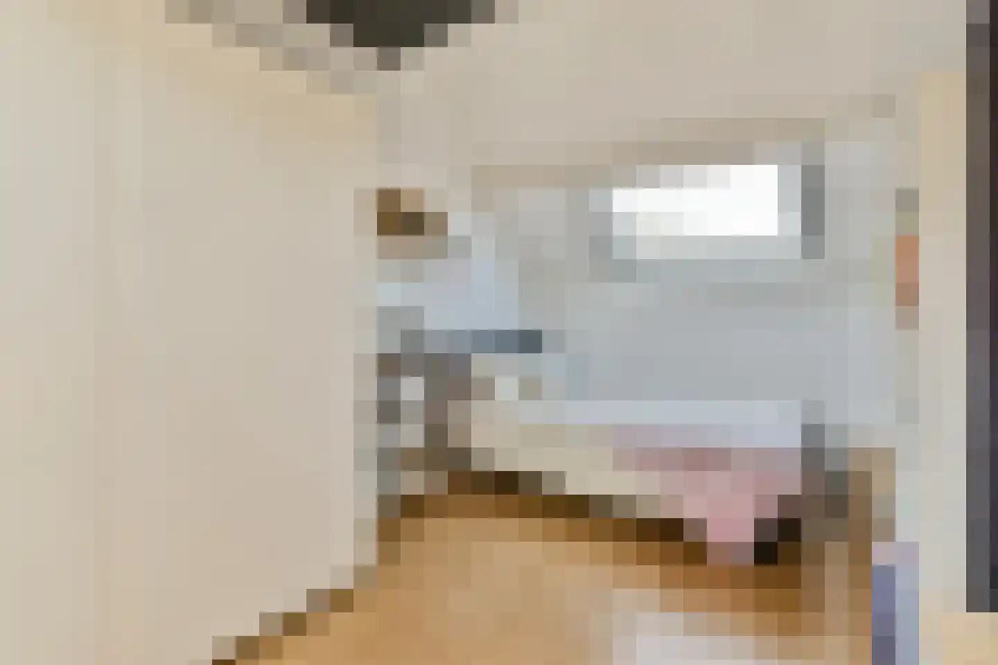 Klipperwerf 53 Gouda thumbnail 24