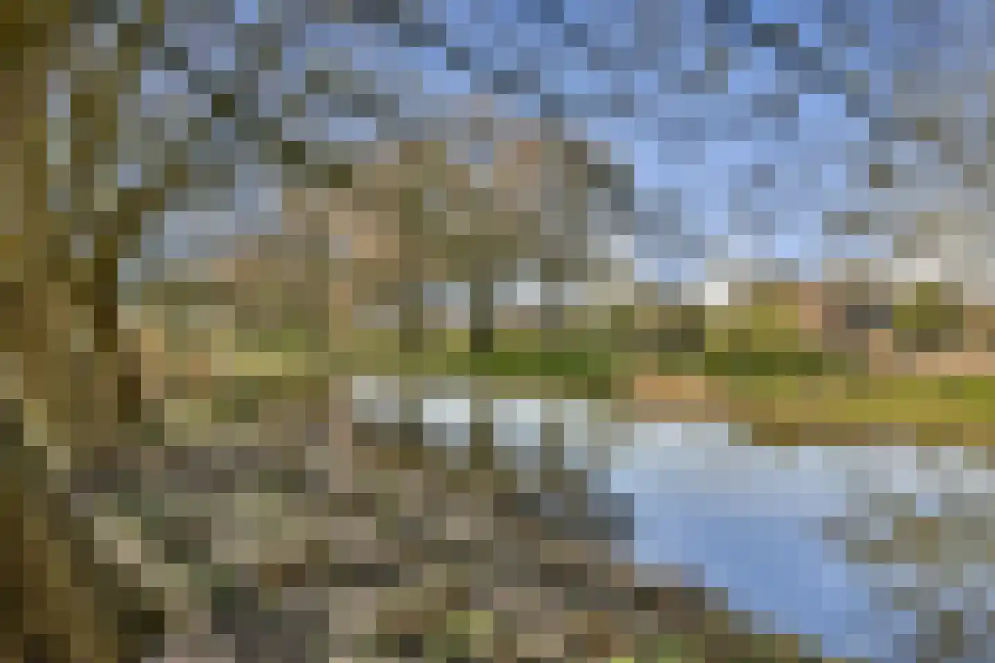 Klipperwerf 53 Gouda thumbnail 30