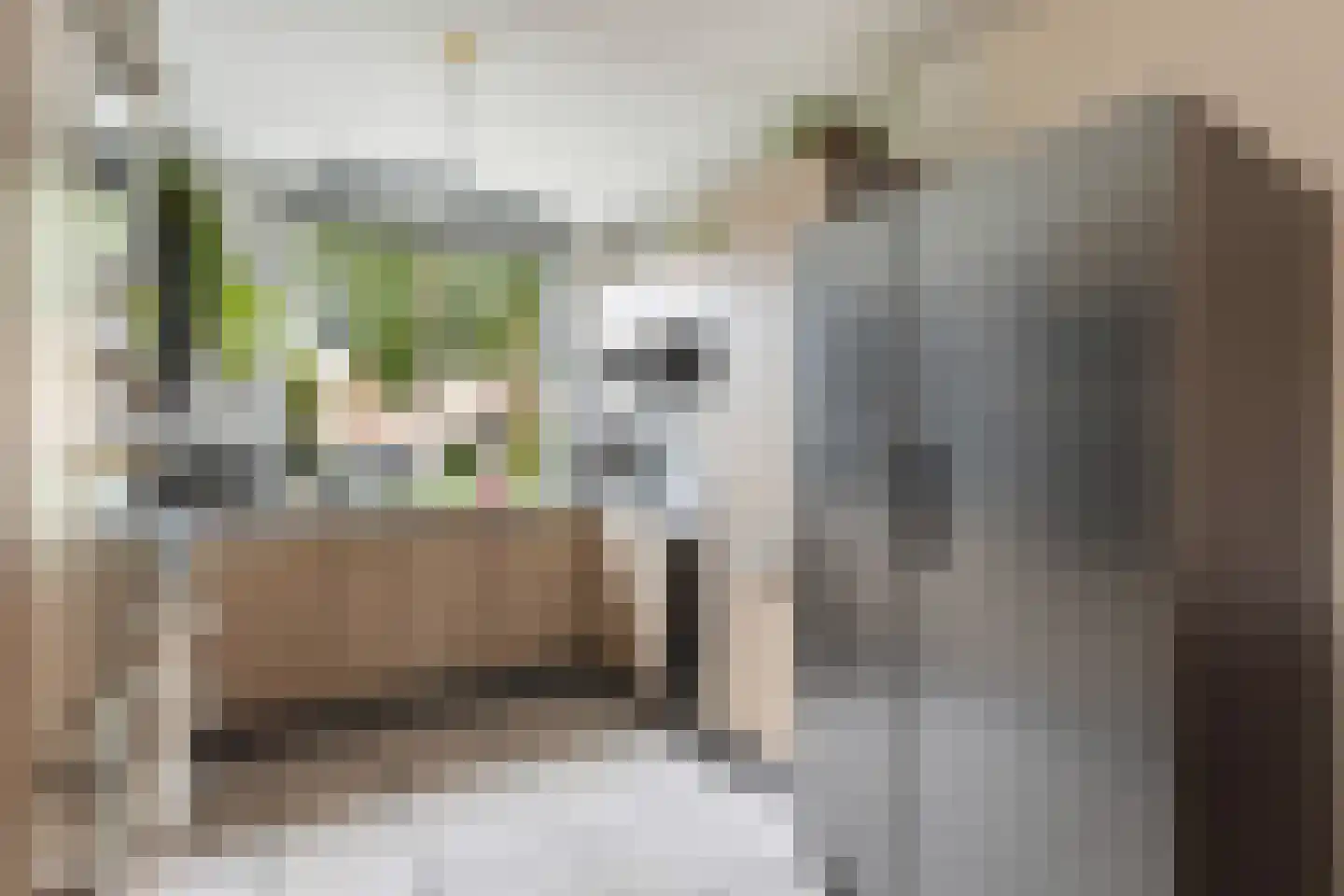 Klipperwerf 9 Gouda thumbnail 15