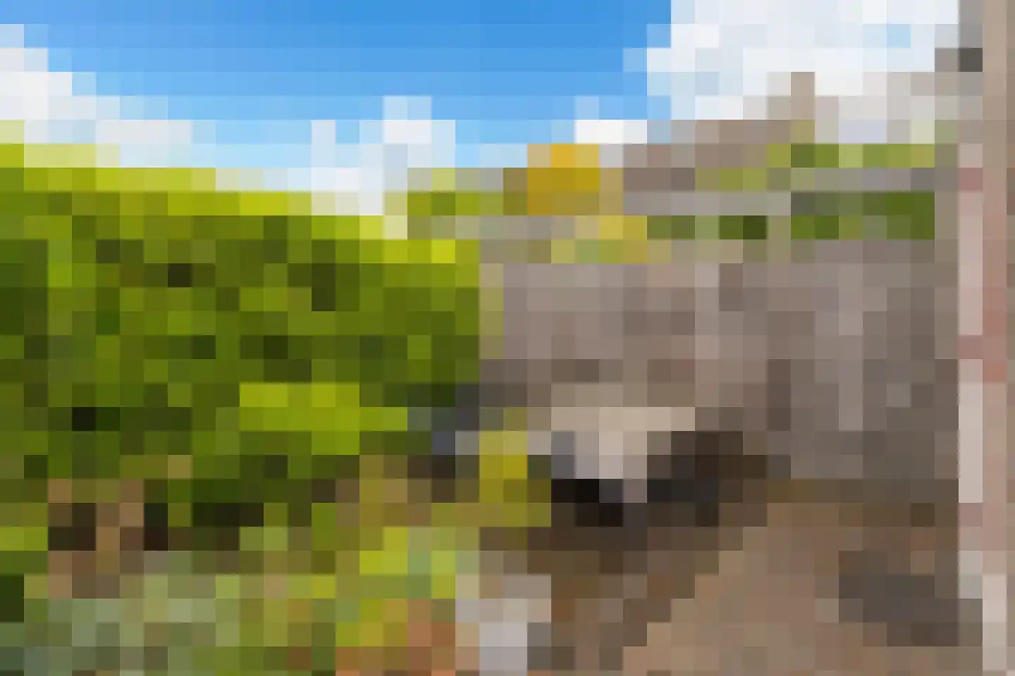 Klipperwerf 9 Gouda thumbnail 34