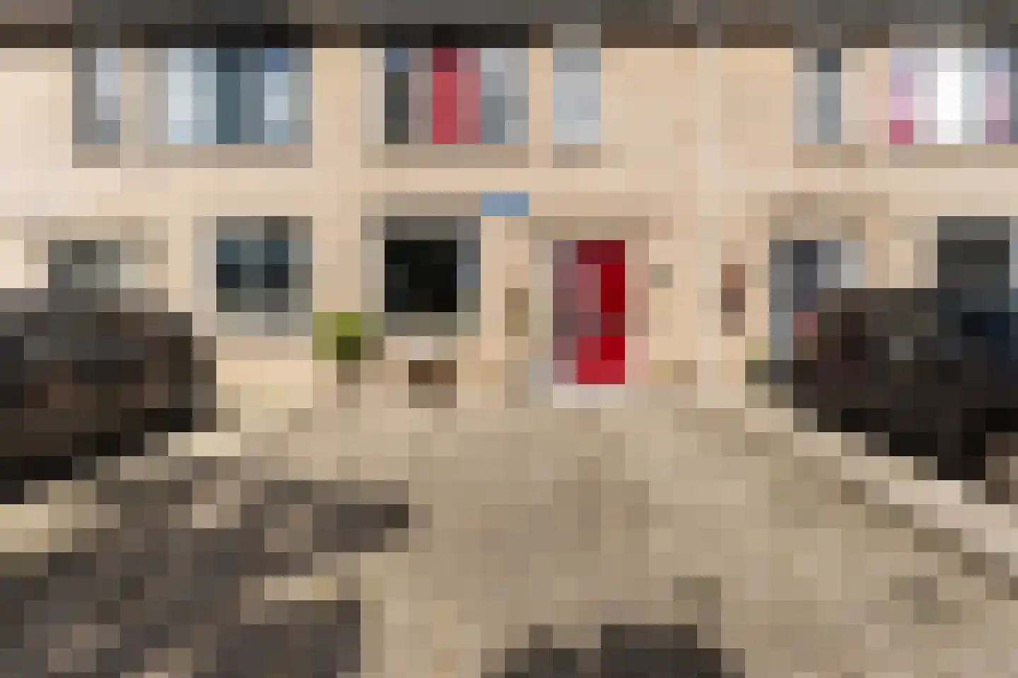 Klipperwerf 9 Gouda thumbnail 7