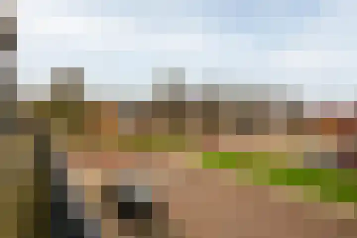 KLM laan 22 a Hoogerheide foto 2