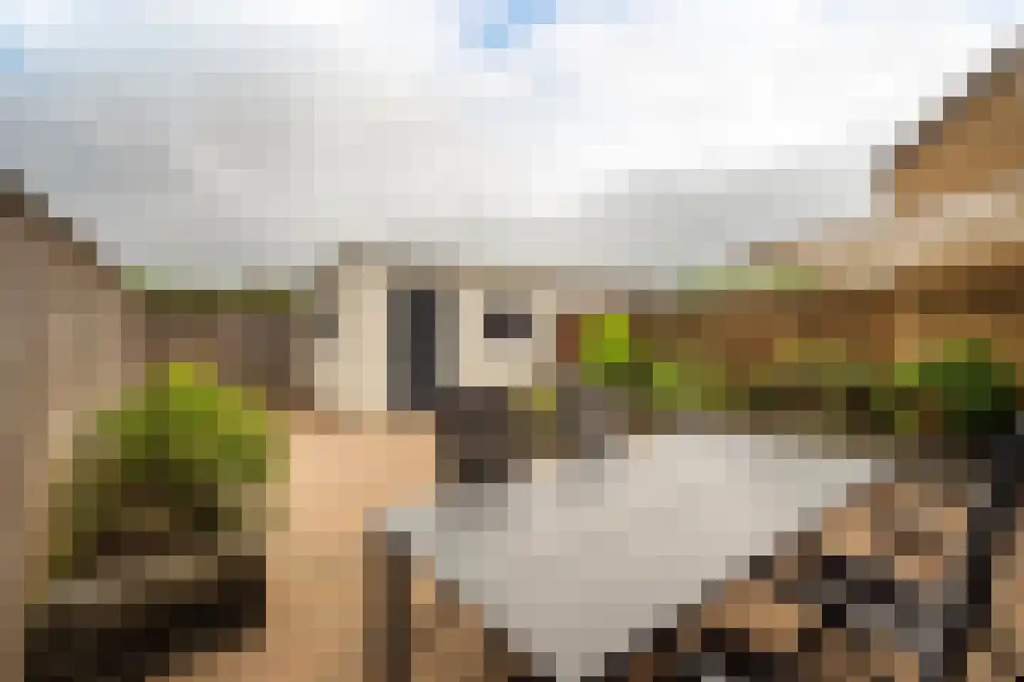 KLM laan 5 Hoogerheide thumbnail 35
