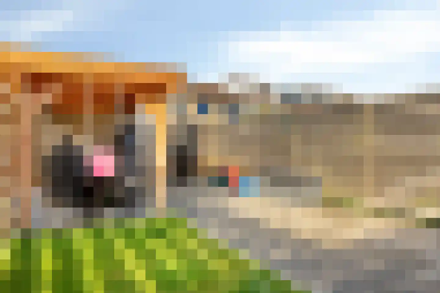 Kloeckenmorgen 14 Westervoort thumbnail 22