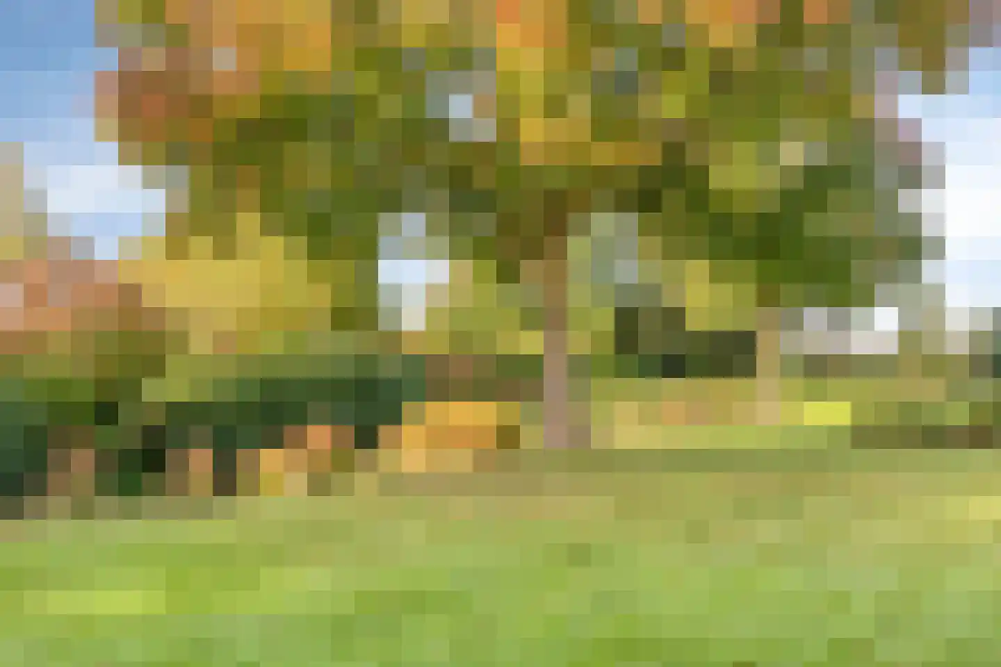 Kloeckenmorgen 14 Westervoort thumbnail 39